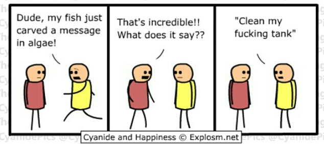 2013-02-10-19-29-15.png