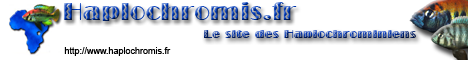Bannière .fr